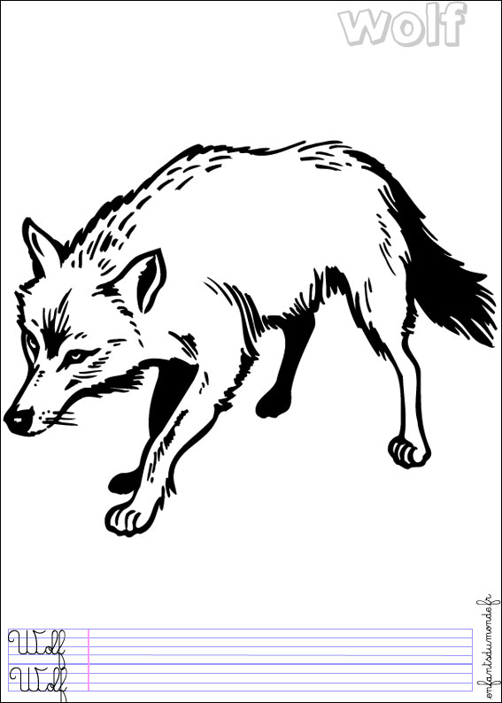 coloriage loup 1